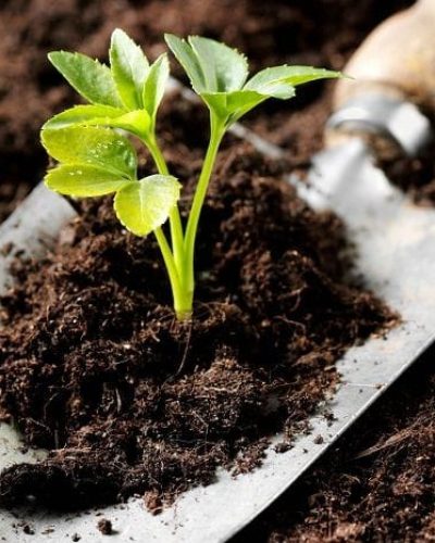 WhatsApp Image 2025-09-26 at 11.30.33 AM (1)