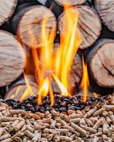 WhatsApp Image 2025-09-26 at 11.30.35 AM (1)